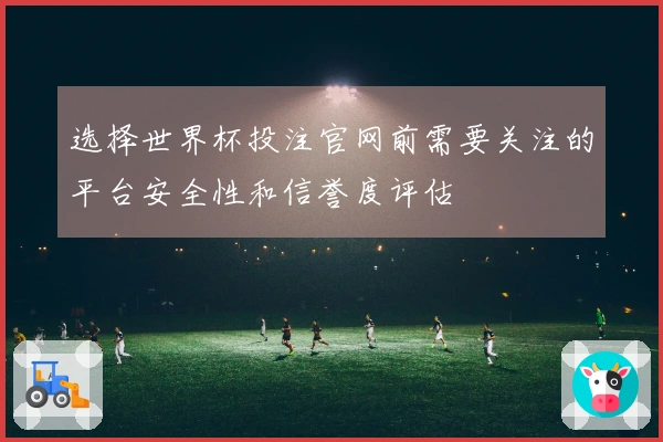 选择世界杯投注官网前需要关注的平台安全性和信誉度评估