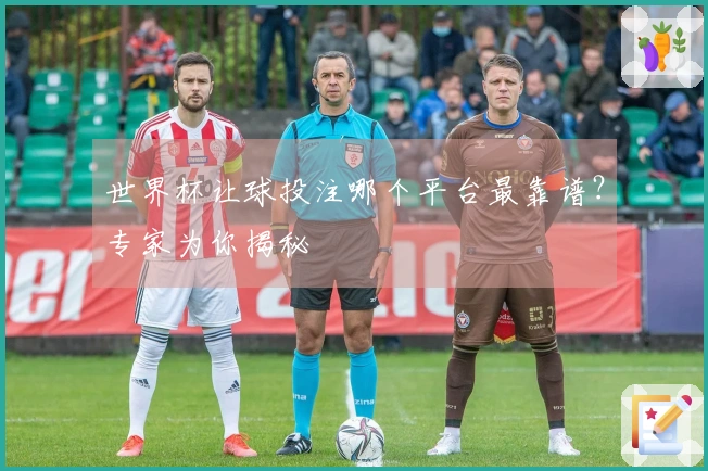 世界杯让球投注哪个平台最靠谱？专家为你揭秘