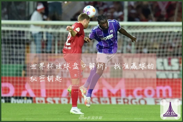 世界杯让球盘口解析：找准赢球的秘密钥匙