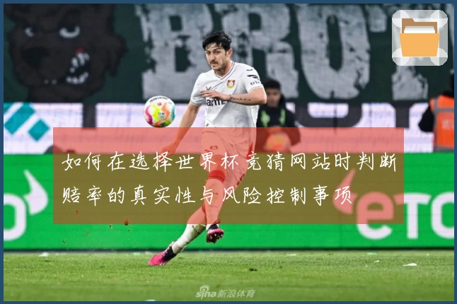 如何在选择世界杯竞猜网站时判断赔率的真实性与风险控制事项