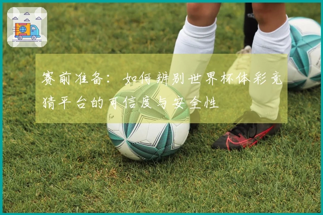 赛前准备：如何辨别世界杯体彩竞猜平台的可信度与安全性