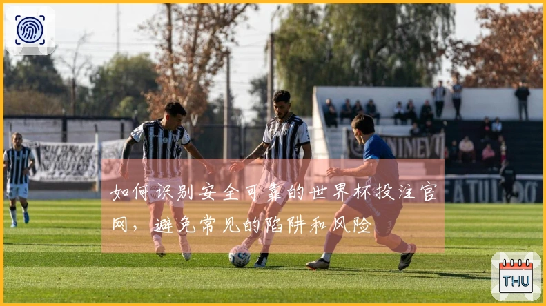 如何识别安全可靠的世界杯投注官网，避免常见的陷阱和风险