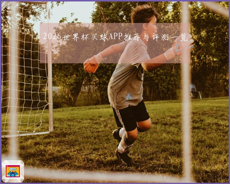 2026世界杯买球APP推荐与评测一览