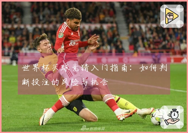 世界杯买球竞猜入门指南：如何判断投注的风险与机会