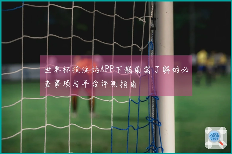 世界杯投注站APP下载前需了解的必查事项与平台评测指南