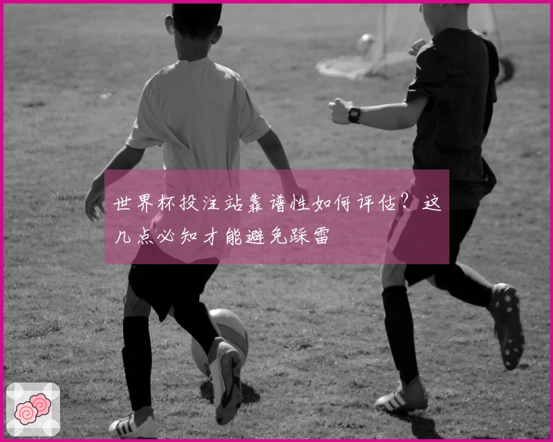 世界杯投注站靠谱性如何评估？这几点必知才能避免踩雷