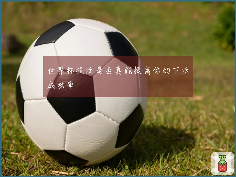 世界杯投注是否真能提高你的下注成功率