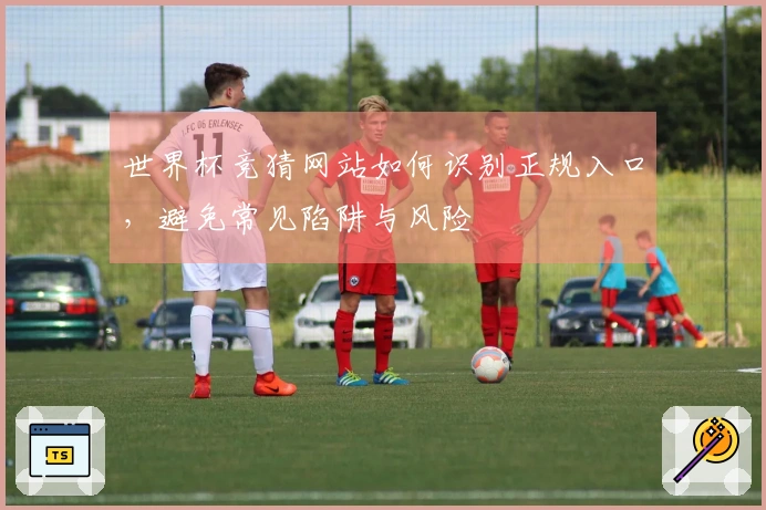 世界杯竞猜网站如何识别正规入口，避免常见陷阱与风险