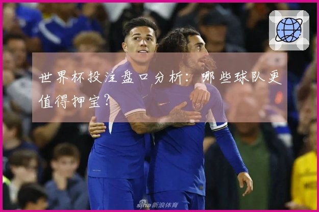 世界杯投注盘口分析：哪些球队更值得押宝？
