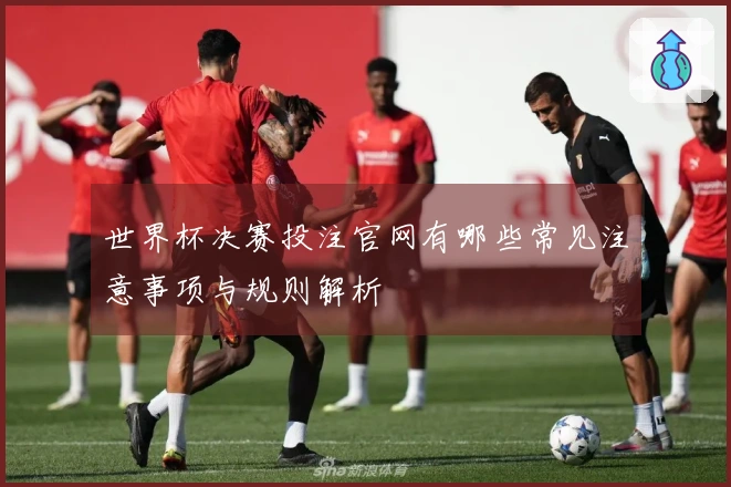 世界杯决赛投注官网有哪些常见注意事项与规则解析