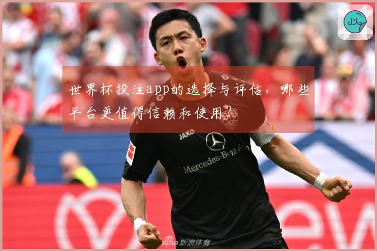 世界杯投注app的选择与评估，哪些平台更值得信赖和使用？