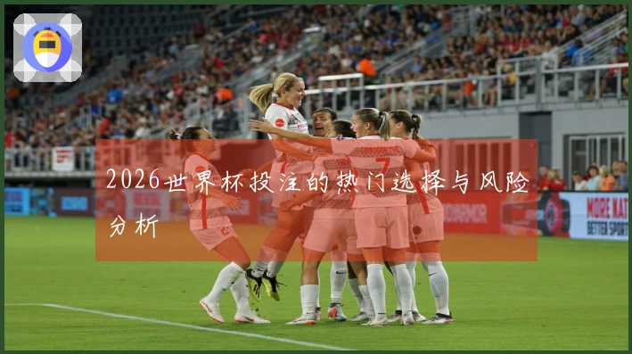 2026世界杯投注的热门选择与风险分析