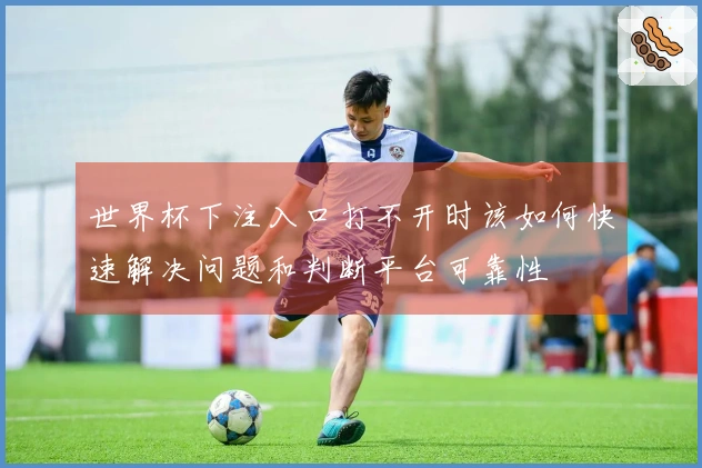 世界杯下注入口打不开时该如何快速解决问题和判断平台可靠性