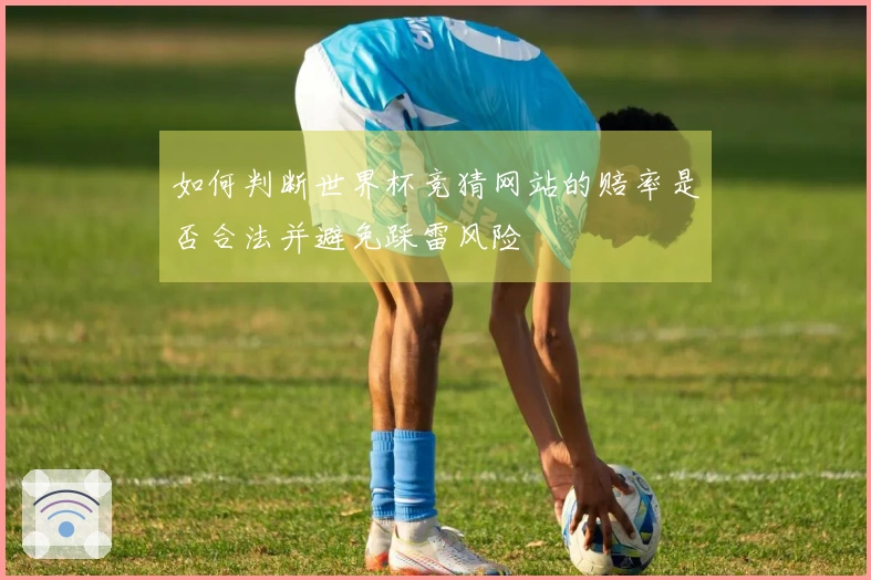 如何判断世界杯竞猜网站的赔率是否合法并避免踩雷风险