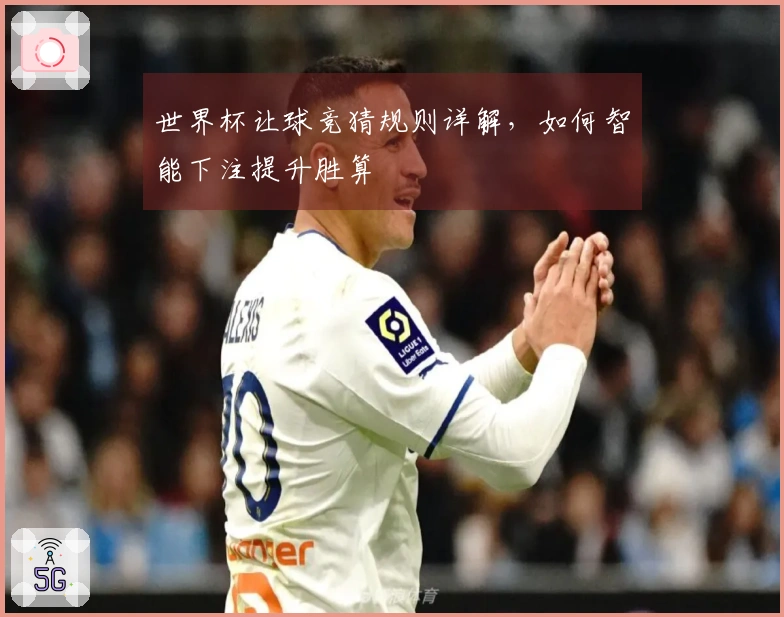 世界杯让球竞猜规则详解，如何智能下注提升胜算