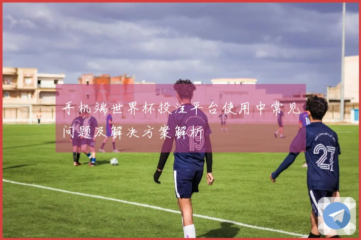 手机端世界杯投注平台使用中常见问题及解决方案解析