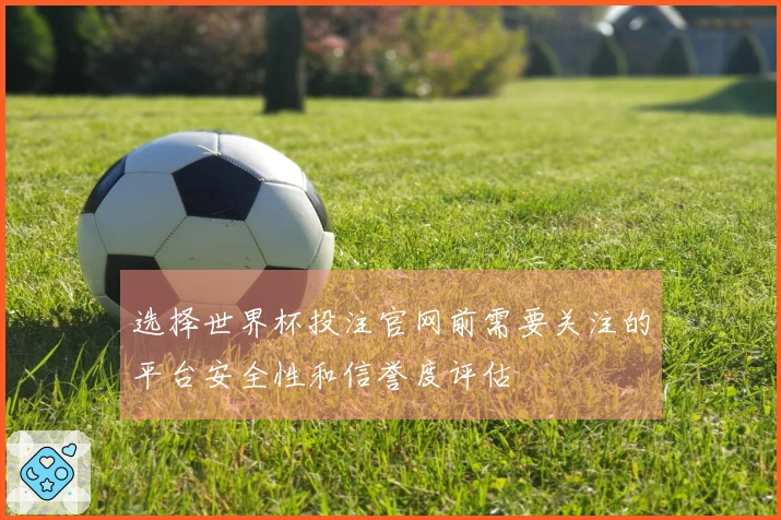 选择世界杯投注官网前需要关注的平台安全性和信誉度评估