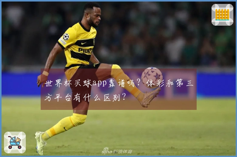 世界杯买球app靠谱吗？体彩和第三方平台有什么区别？