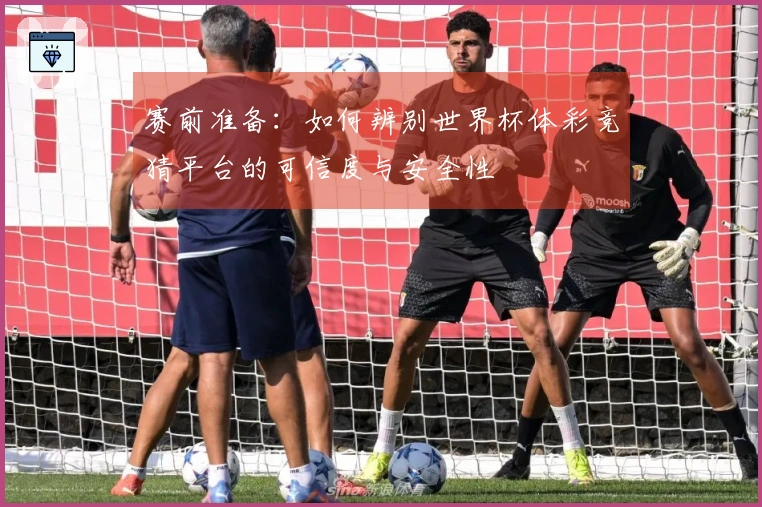 赛前准备：如何辨别世界杯体彩竞猜平台的可信度与安全性