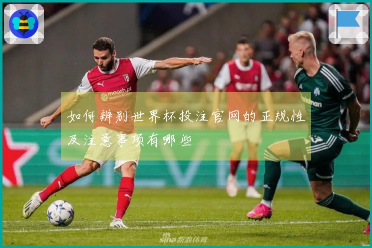 如何辨别世界杯投注官网的正规性及注意事项有哪些