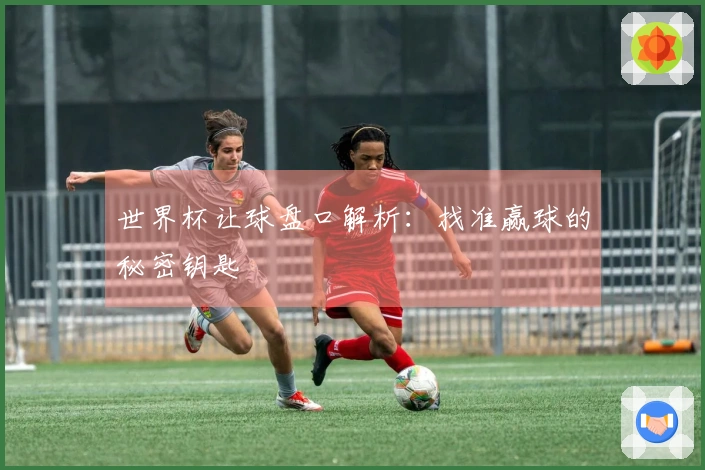 世界杯让球盘口解析：找准赢球的秘密钥匙