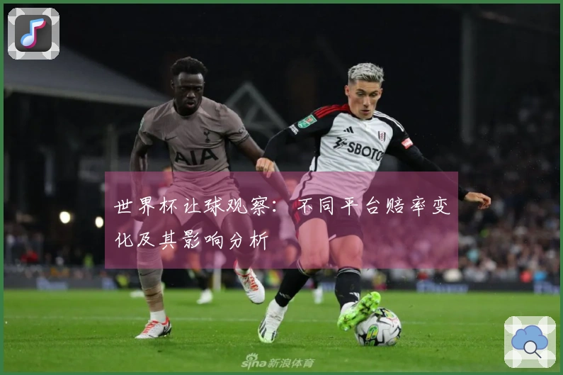 世界杯让球观察：不同平台赔率变化及其影响分析