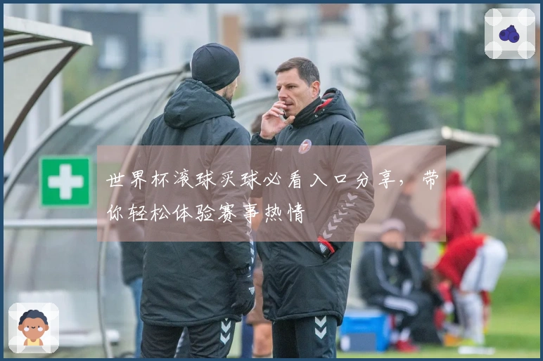 世界杯滚球买球必看入口分享，带你轻松体验赛事热情