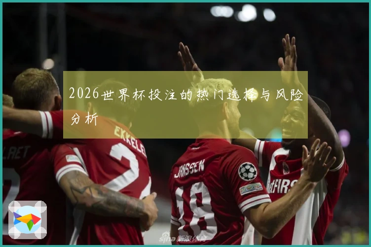 2026世界杯投注的热门选择与风险分析