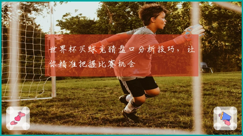 世界杯买球竞猜盘口分析技巧，让你精准把握比赛机会