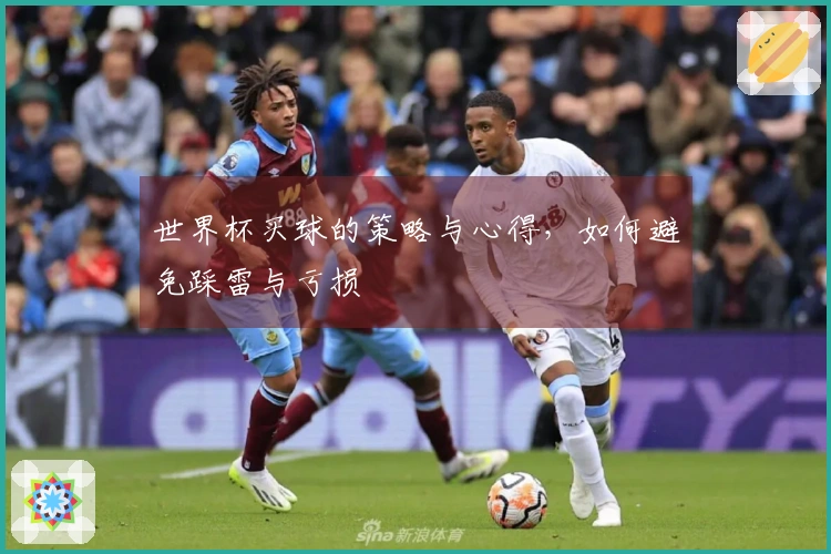 世界杯买球的策略与心得，如何避免踩雷与亏损