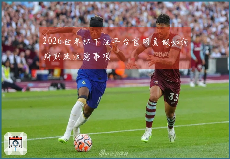 2026世界杯下注平台官网真假如何辨别及注意事项