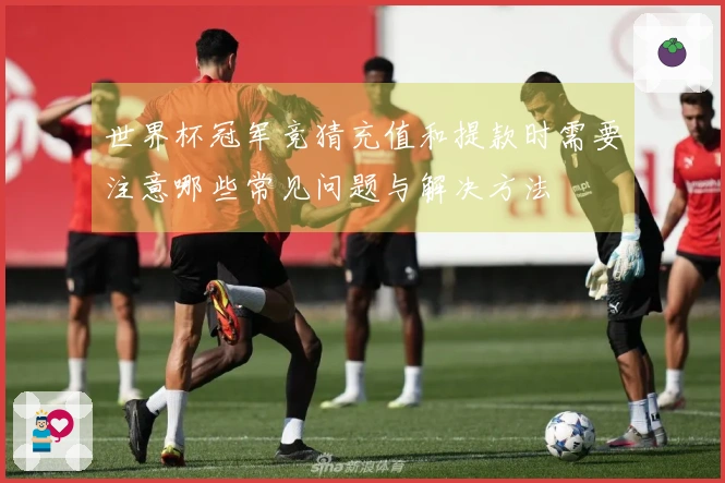 世界杯冠军竞猜充值和提款时需要注意哪些常见问题与解决方法