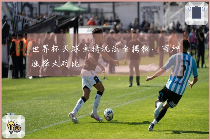 世界杯买球竞猜玩法全揭秘，百种选择大对比