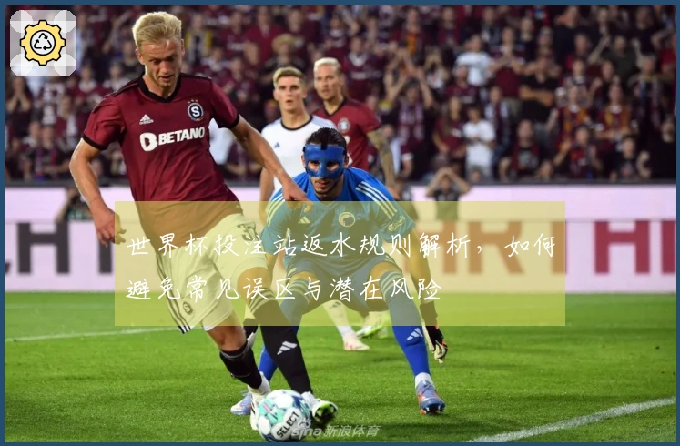 世界杯投注站返水规则解析，如何避免常见误区与潜在风险