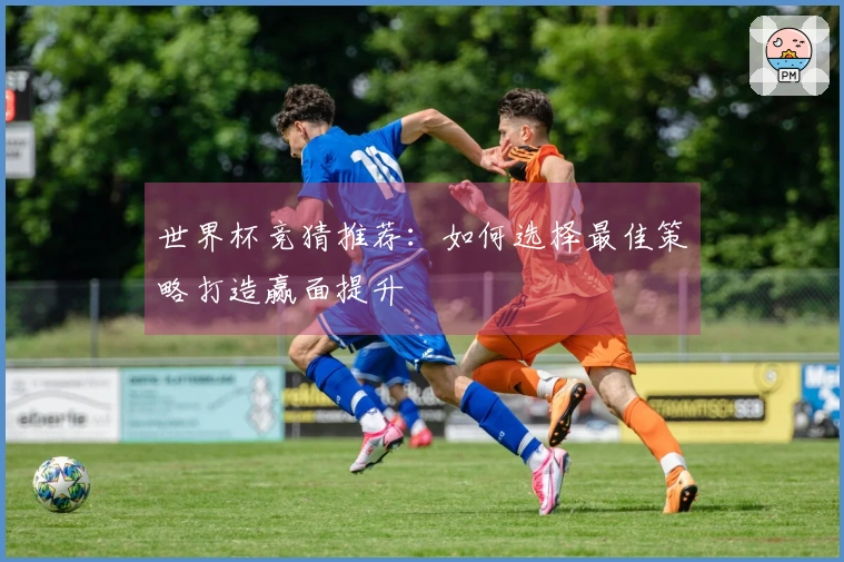 世界杯竞猜推荐：如何选择最佳策略打造赢面提升